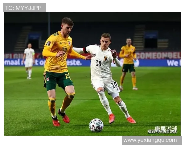 塞尔维亚与捷克对决谁能笑到最后揭晓比赛胜负之谜