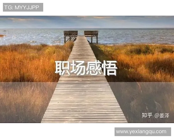 王少杰的成长之路：从青涩少年到职场精英的奋斗历程与人生感悟